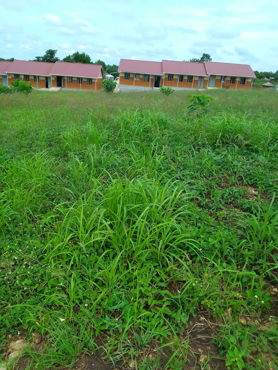 WhatsApp Image 2026-01-05 at 15.06.16_b65e7e9c