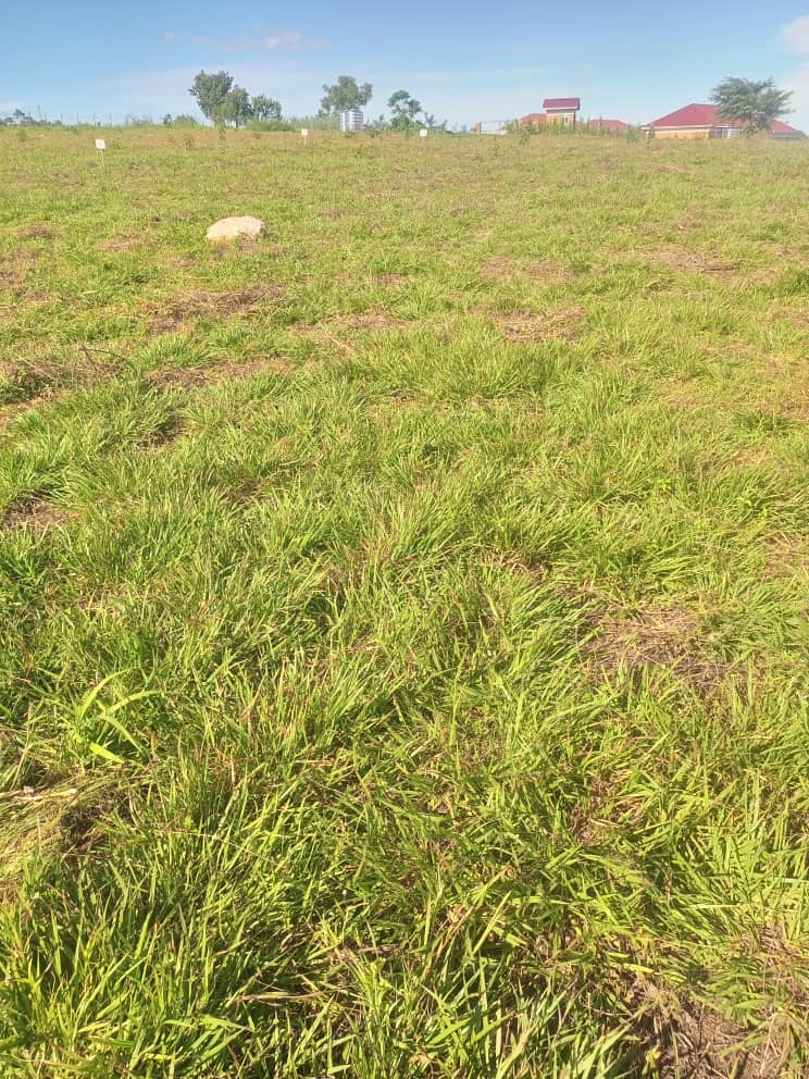 WhatsApp Image 2026-01-05 at 15.06.26_25f95aed