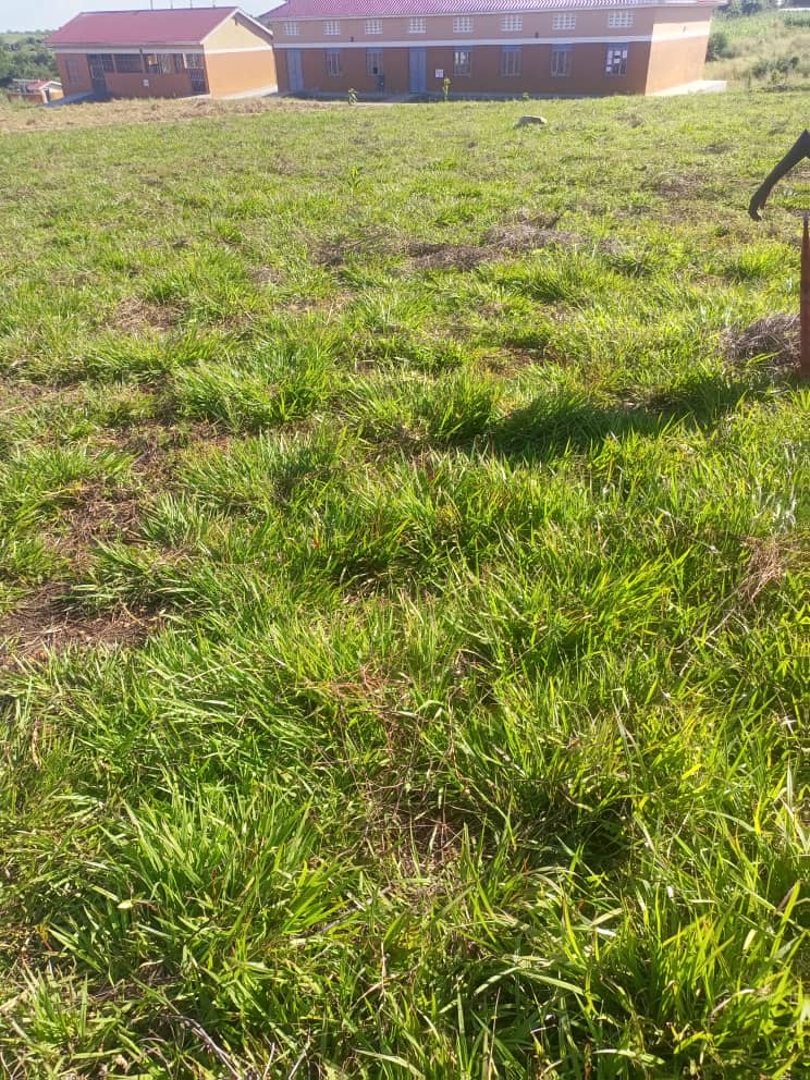 WhatsApp Image 2026-01-05 at 15.06.27_affd1e14