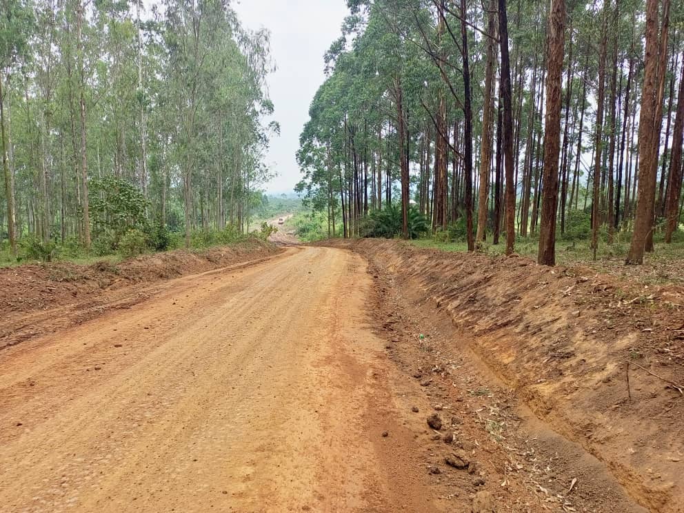 WhatsApp Image 2026-01-05 at 17.59.04_c3990d0f